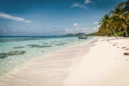 Plage de sable blanc immaculée aux Caraïbes avec eau turquoise et palmiers cocotiers, représentant les plus beaux paysages des îles caribéennes